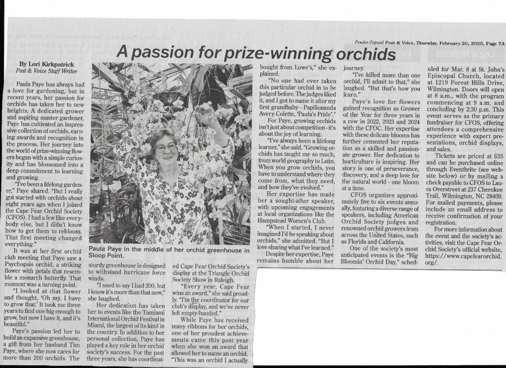 newspaper article describing a passion for prize-winning orchids